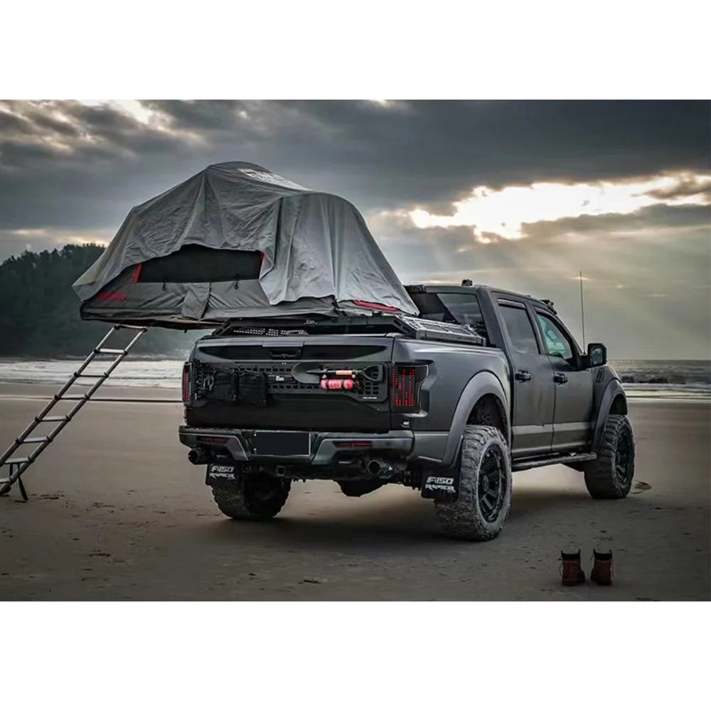 Animated Digital Tail Light for Ford F150 2015-2020, LED Upgrade (Excludes Blind Spot Feature)