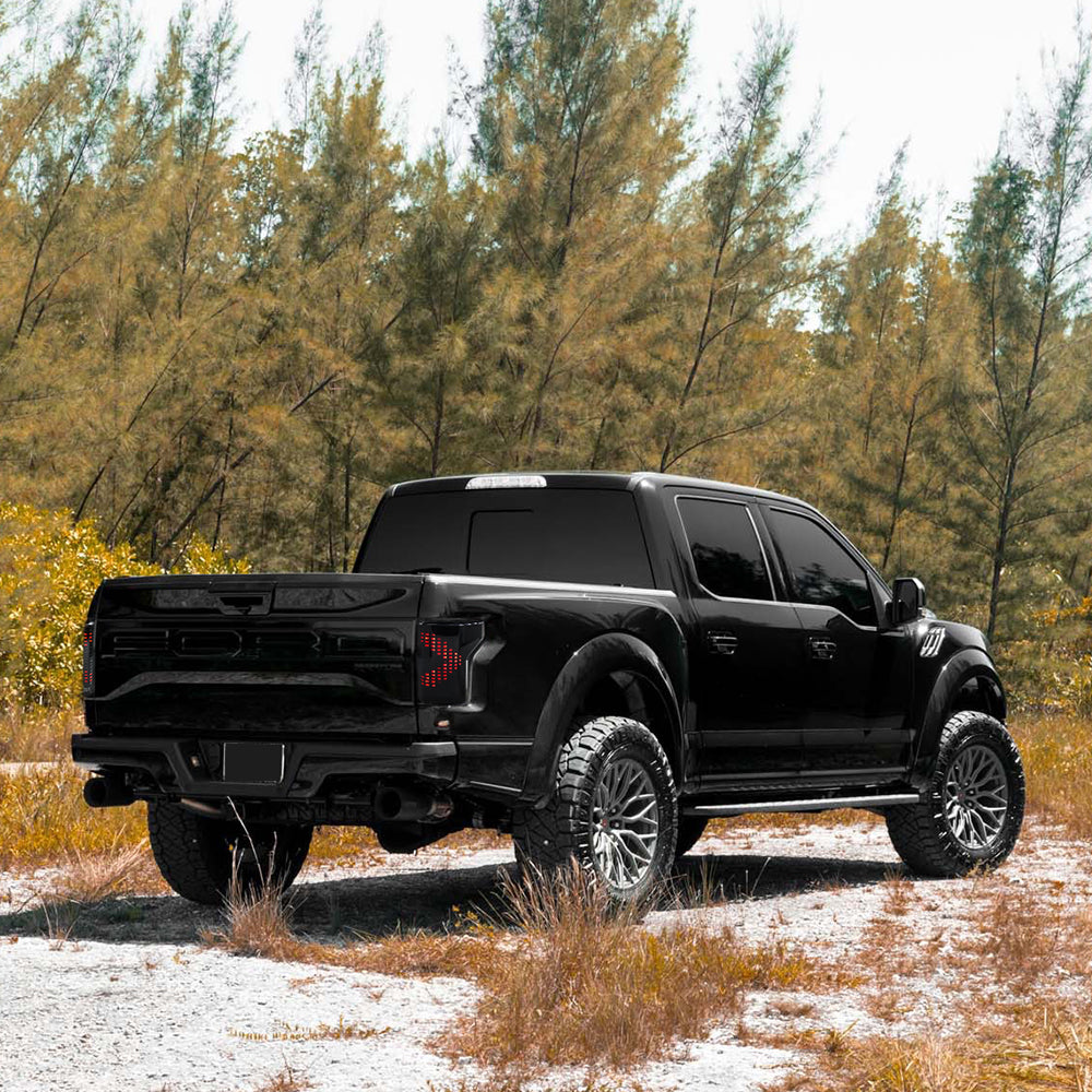 Animated Digital Tail Light for Ford F150 2015-2020, LED Upgrade (Excludes Blind Spot Feature)